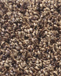 carpets